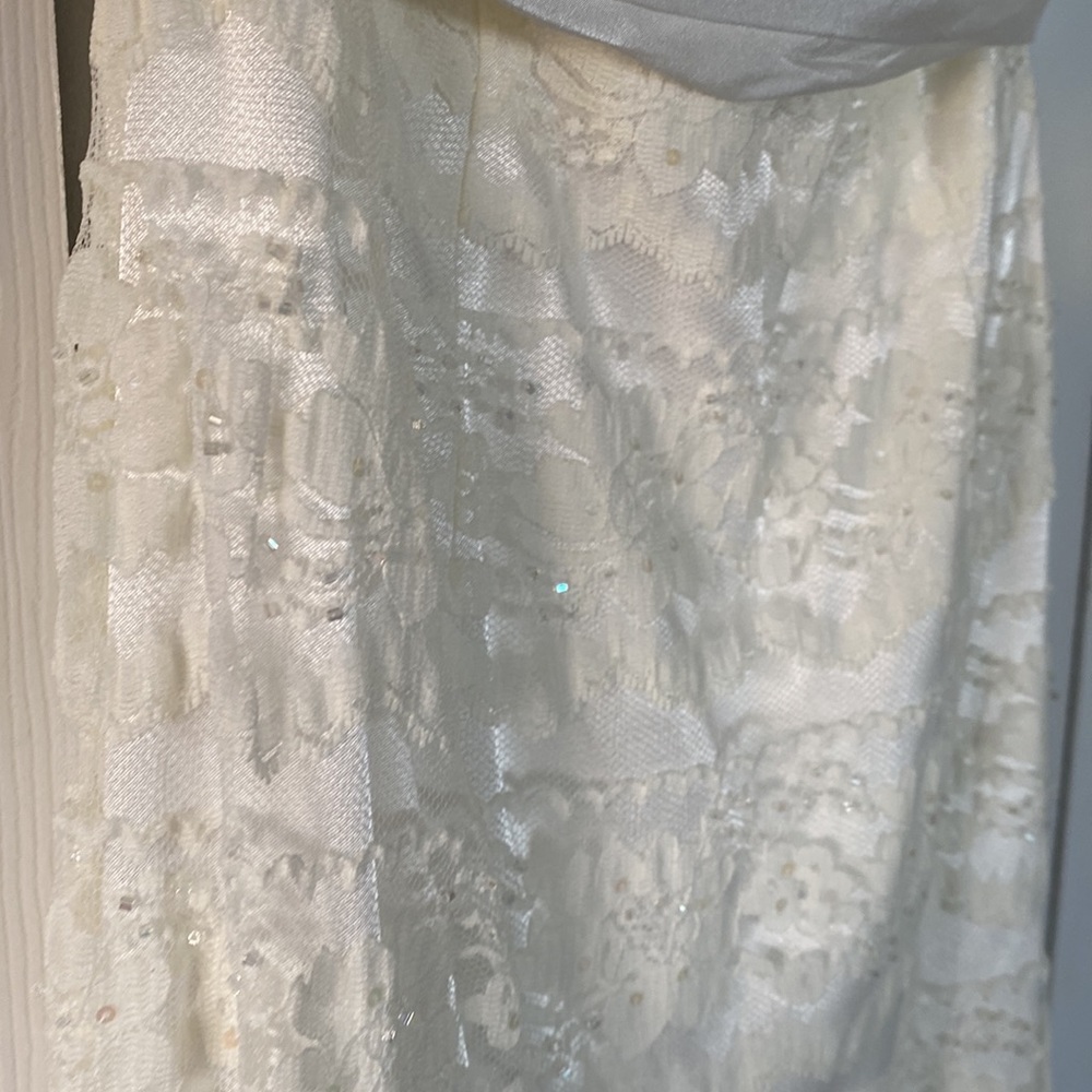 Lovely Davids Bridal lace gown with sequins [Ivory] - Picture 7 of 12